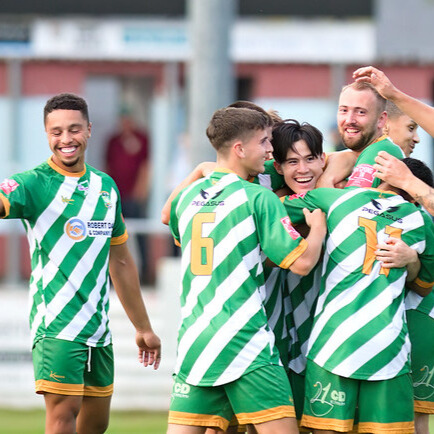 21 Ducks Aylesbury United Supporters Trust Logo